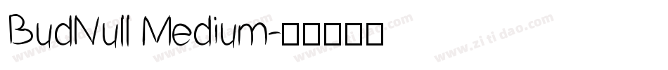 BudNull Medium字体转换